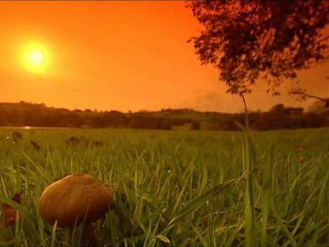 Vivaldi ♪ Les 4 Saisons Seasons ☼ Automne Autumn ▪J.Fischer