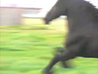 MONTAGE VIDEO AVEC MARRY YOU DE BRUNO MARS JOUE PAR MOI MÊME AU PIANO