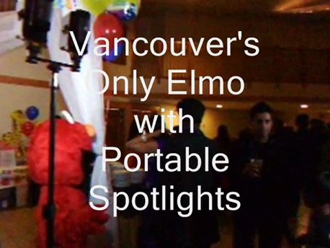 Elmo Mickey do Harry Potter magic theme Metro Vancouver birthday parties