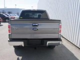 2009 Ford F-150 for sale in Columbia MO - Used Ford by EveryCarListed.com