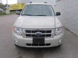 2009 Ford Escape for sale in Columbia MO - Used Ford by EveryCarListed.com