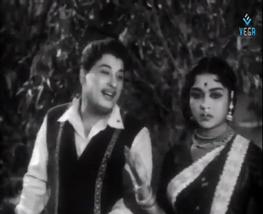 NEETHIKKUPIN PAASAM - Radha cycling comedy