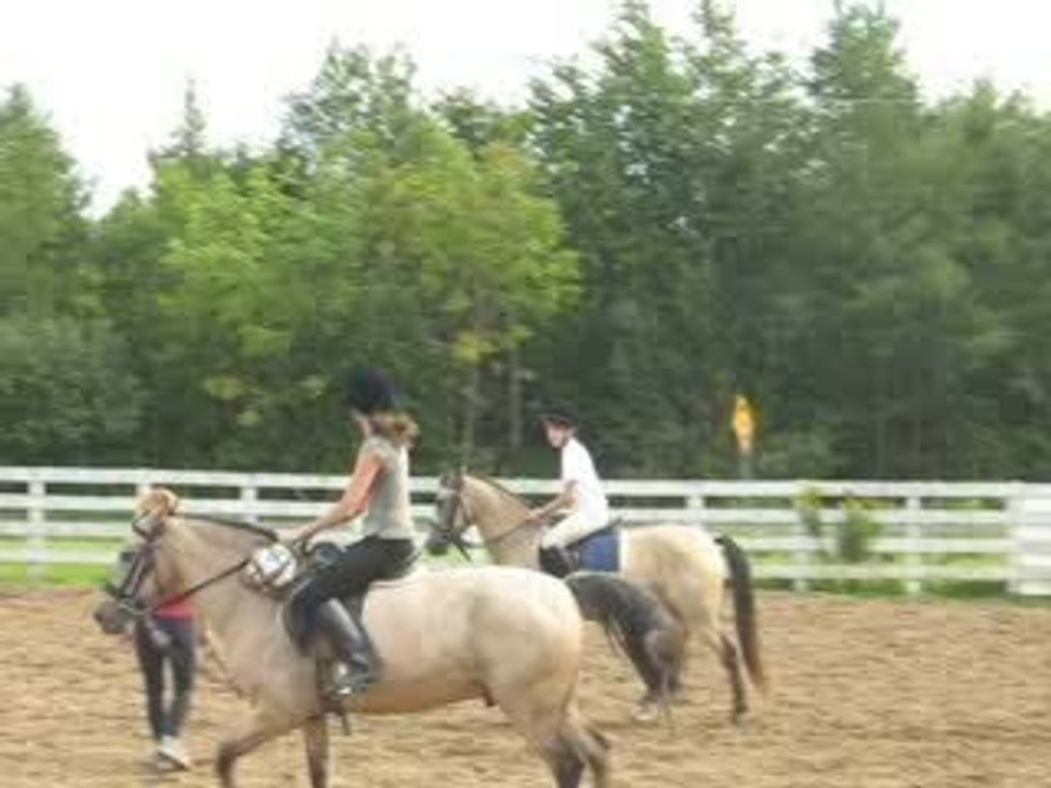 Horse Ball