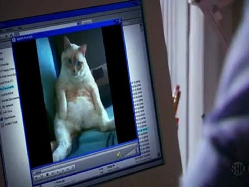 Dexter et le chat multifonctions