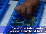 How to Preserve Herbs in Ice Cubes