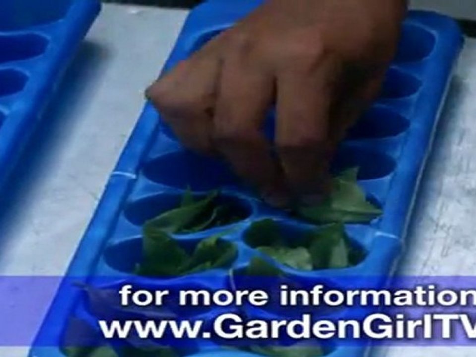 How to Preserve Herbs in Ice Cubes