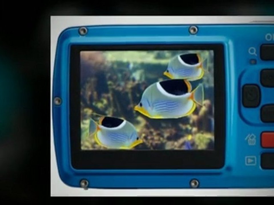 Some Disposable Underwater Camera Choices