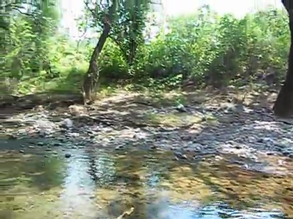 cuyotepeji su rio huajuapan oaxaca