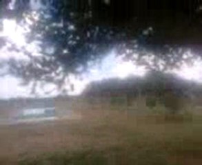 SORPRESA EN EL PARQUE ECOLOGICO.