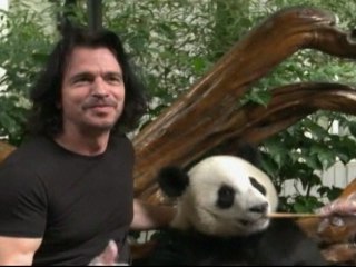 Greek Musician Yanni Adopts Chinese Panda