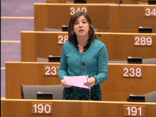 Izaskun Bilbao Barandica on Use of subsidiarity principle after the Lisbon Treaty