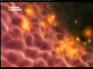 Radiacion: Efectos sobre el feto (Bomba sucia)