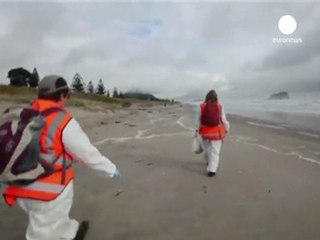 Nuova Zelanda: l'armatore della nave Rena chiede scusa