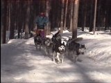 2002.03 Voyage à Rastrand en laponie suédoise avec des alaskan husky