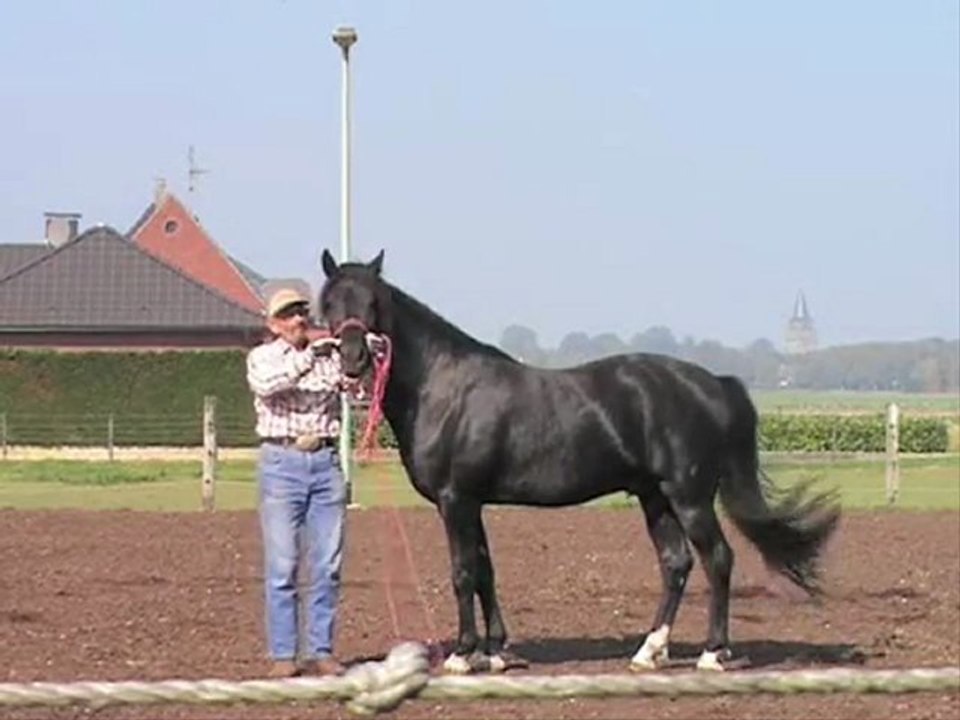 Training Equinox Sunrise