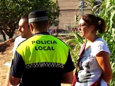 131011 animals de companyia