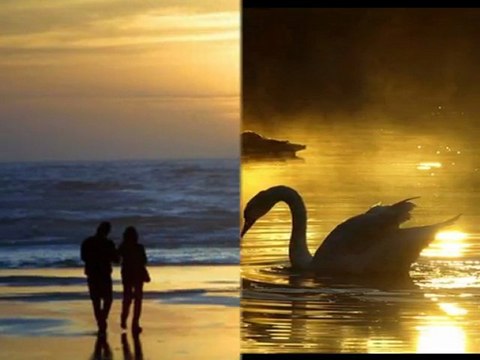 OĞUZ BORAN - SENİ ÇOK SEVİYORUM