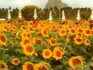 STALIN-SONG5.mov