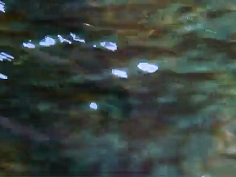 Lili sur le Bord - La Boîte à ooTi