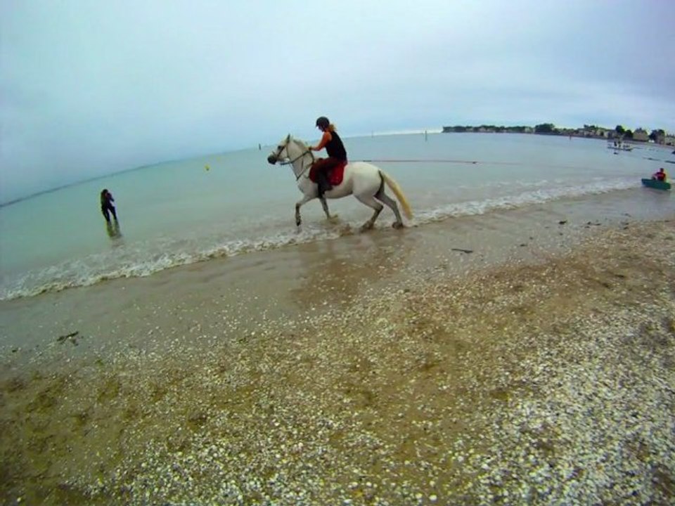Wakeboard: Horse Surfing 2011