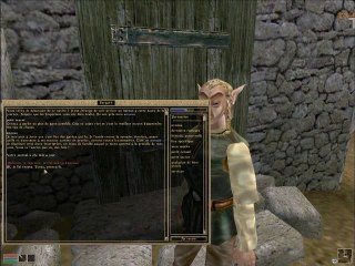 Test vidéo - tvdjeux - The Elder Scrolls 3 - Morrowind