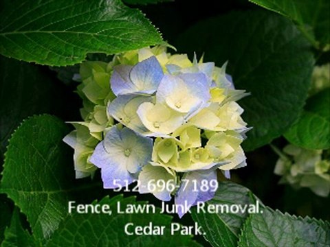 512-696-7189 Fence, Lawn, Junk, Care, Repair, Removal Cedar Park.8