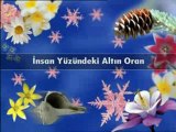 Altin Oran Insan vucudu ve altin oran