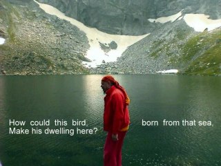 Perica Georgiev - Native Call