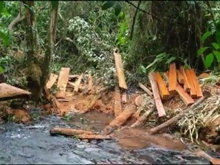 PROTEÇÃO AOS ANIMAIS