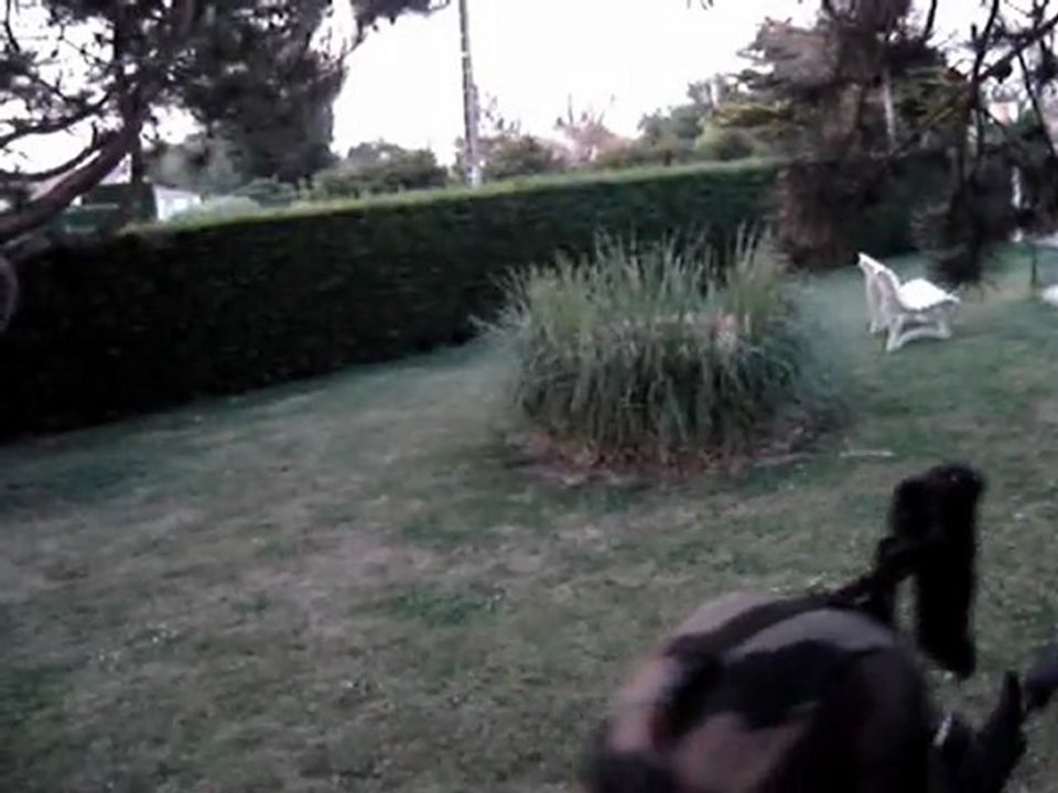 SOCOM III & SOCOM fire team bravo 2