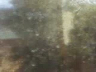 faculté de l’économie et de gestion mahdia tunisie