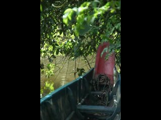 Carbet CCM 01 et 02.10-1