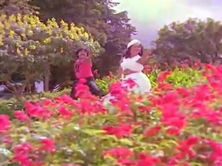 Sari Sari (KOLAI KARAN)