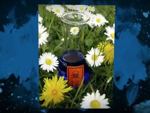 Gardening Tips on Fertilizers