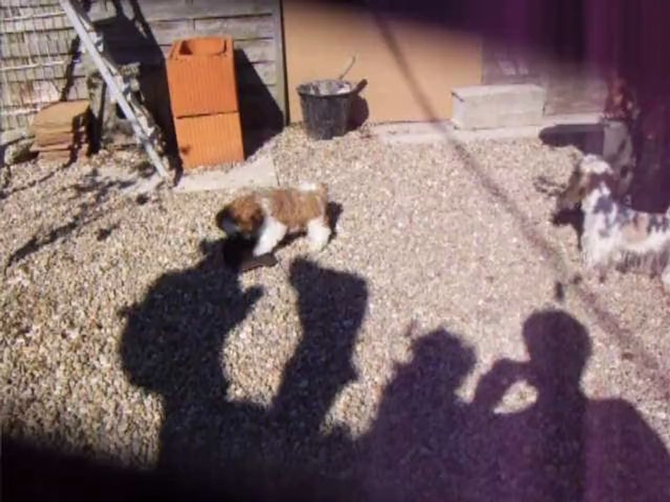 gui-liang avec la casquette a henri