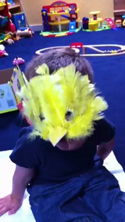 Noam le petit poussin
