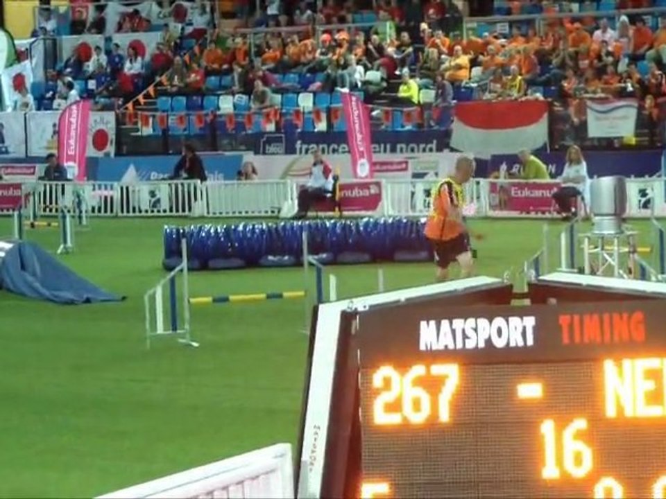 Manchester terrier CDM Agility Liévin 2011