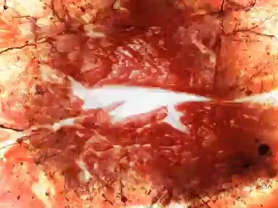 Sadie - Rosario-ロザリオ- PV