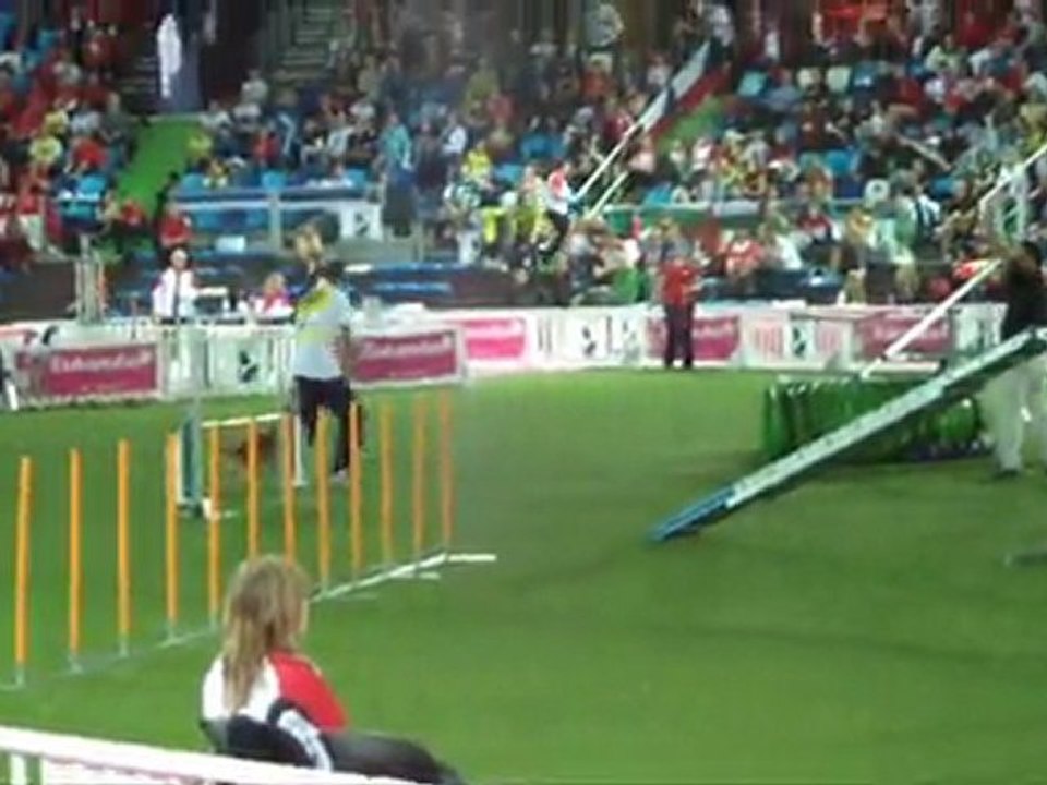 Nova scotia CDM agility Liévin 2011