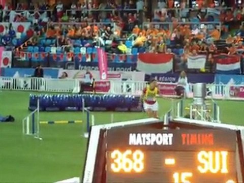 Schapendoes CDM Agility Liévin 2011