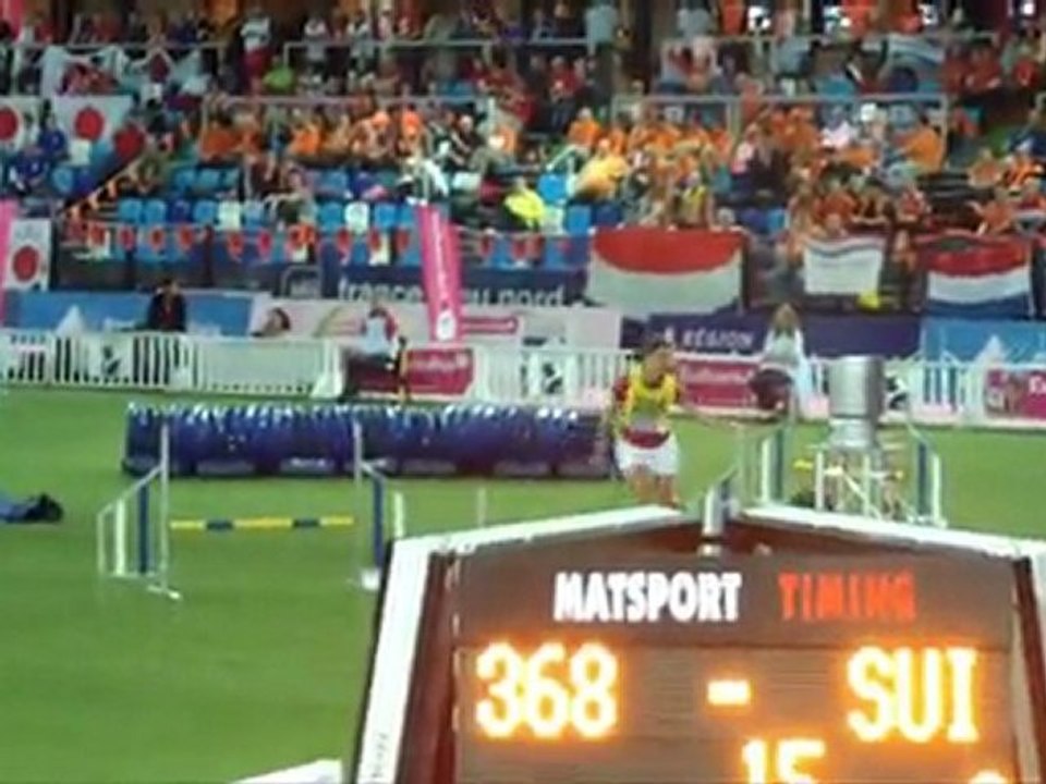 Schapendoes CDM Agility Liévin 2011