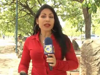 Manifestaciones de Sidor