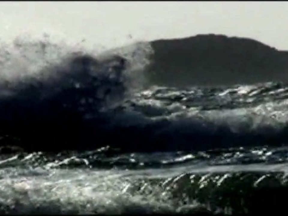 The Island (2011)