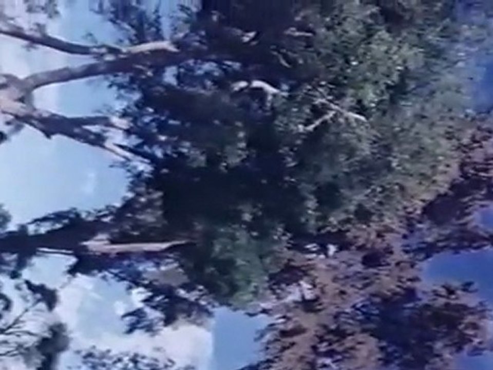ETHANDHA NEETHI-SCENE 03.mov