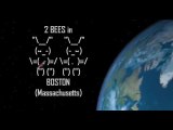 2 Bees in Boston 2011