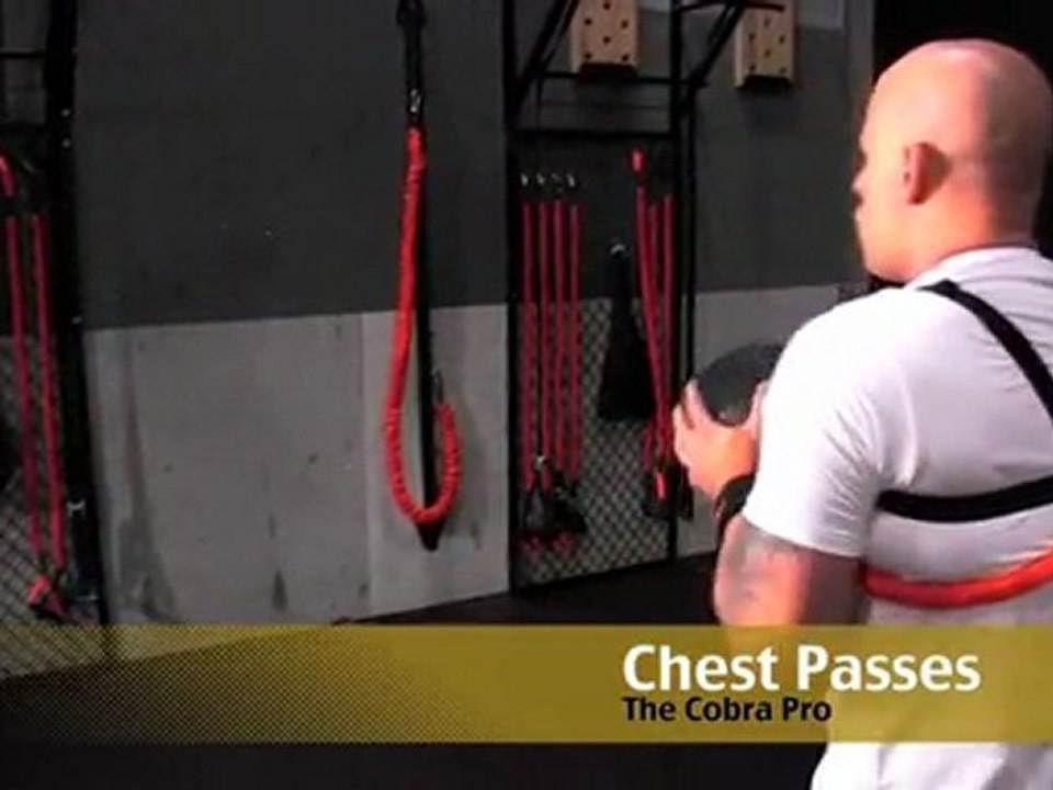 MMA Training - Cobra Pro