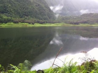 Grand-Etang la Réunion