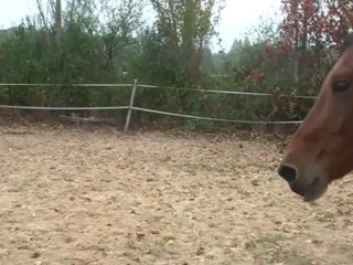 13.10.2011.a.liberte