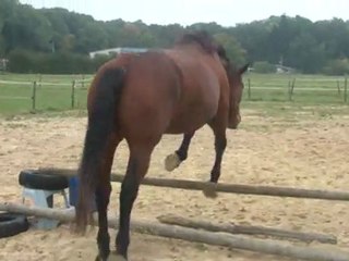 13.10.2011.b.liberte