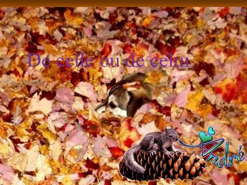 Nos amis les animaux nous disent l'art du bonheur